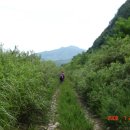 금산농원 이미지