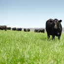 시민식당 2호점 이미지