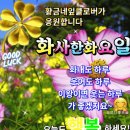 힐링 행복열차 출발~341 이미지