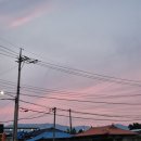 월포농장 이미지