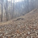 이동균 농장 이미지