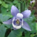 시인의 뜰 이미지