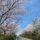 평화로01 이미지