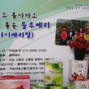벤처농장