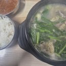 감꽃마을 토종순대 이미지