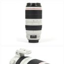캐논 EF 100-400mm F4.5-5.6L IS II USM (1859) 170만원 이미지