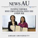 강남로미모의원 네이버블로그