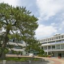 해남군청 사거리 이미지