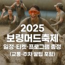 보령시청화장품 | 2025 보령머드축제 일정·티켓·체험 총정리 (교통·주차 꿀팁 포함)
