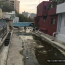 가야1동-18 이미지