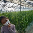 덕일 농장 이미지