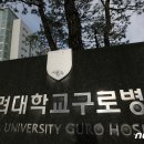 구로-구로-구로-140 머니투데이