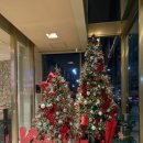 집중국 2층 C구역 | [샤롯데시어터] 뮤지컬 킹키부츠 강홍석/이재환, 2층 C구역 3열 시야 후기