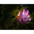 구리광장 이미지