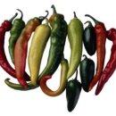 다이어트 윤 이미지