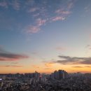 미소부동산중개사무소 이미지