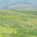 아름드리 목장 이미지