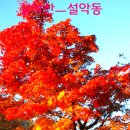 안동지물포