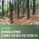 춘천태동요양병원 네이버블로그