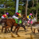 제주 - 군포시 | 제주