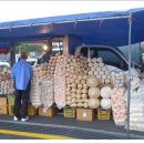 제주풍경스케치 이미지