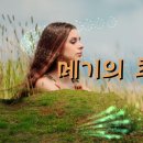 메기의 추억 이미지