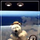 제주테디베어뮤지엄 이미지