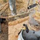 대둔산농장 이미지