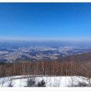 원창농장 이미지