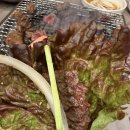 뉴부자 | 안동 갈비 맛집 "뉴서울갈비" 솔직 후기