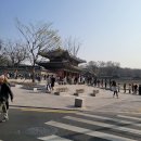 2023 창덕궁 후원 꽃구경_주말현장매표팁