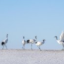 은빛세상 이미지