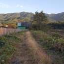 육모정허브찜질방 이미지