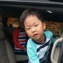 지리산약초관광농원 이미지