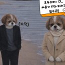 가을동화 이미지