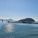 영동농협 하늘과바다사이 | [3]가을 욕지도 1박 2일 완벽 정리! 🌄 숙소에서의 일몰 몰부터 출렁다리 짜릿함까지