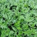 B&R휘트니스 이미지