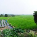 화옹지구공인중개사사무소 이미지