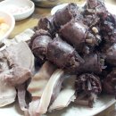 병천순대 Daum카페
