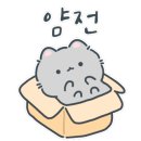 해피고양이분양 이미지