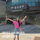 대운숯불갈비 | 광명 맛집 송도갈비 광명점 3대갈비 맛집 양념갈비 왕갈비탕 후기