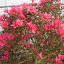 두류공원관리사무소 이미지