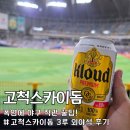 115 | 고척스카이돔 3루 외야일반석 115구역 SSG 키움전 직관후기