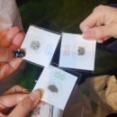 순리대로내몸건강 | 이미 엎질러진 물 순리대로 가렵니다 ㆆ ̫ ㆆ