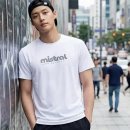 미스트랄
