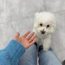 더 봄 | 구미 속눈썹펌 잘하는곳 프롬더봄 대만족 후기