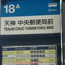 크로바 애완샵 이미지