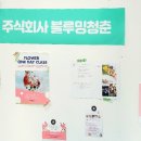 블루밍청춘