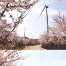 창포곶펜션 네이버블로그
