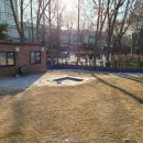 뛰뛰 강아지 놀이터 이미지